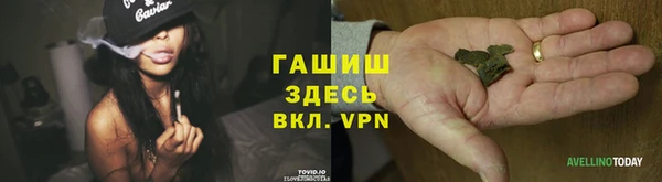 крисы Аркадак
